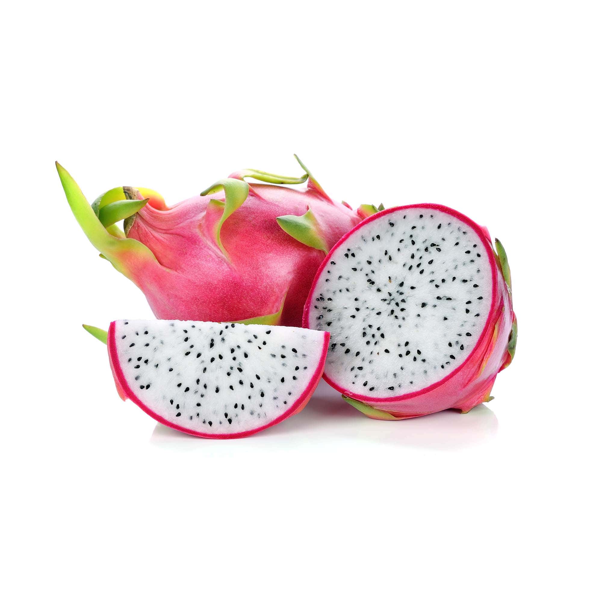 Dragon Fruit Tree for Sale Florida | Fast Shipping | Everglades Farm