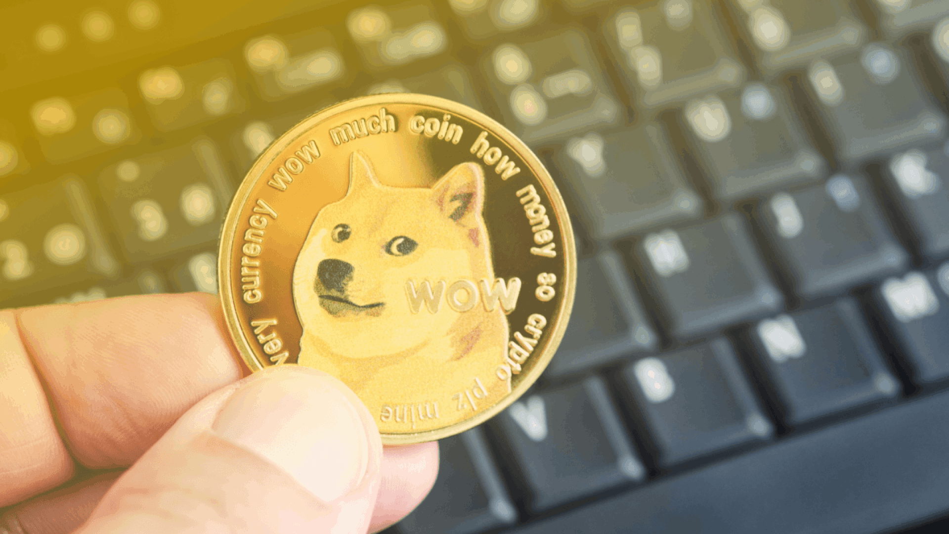 Dogecoin Wallet Guide - How to Store, Send and Receive DOGE Tokens | Coin Guru