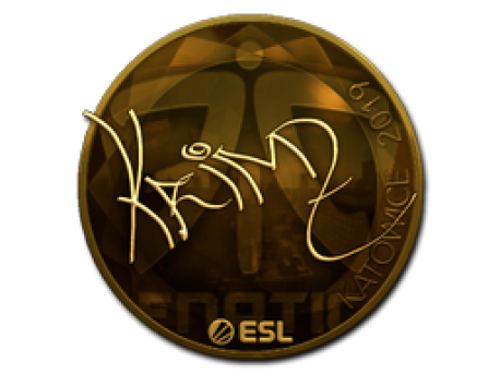 Katowice Gold Coin - bitcoinhelp.fun