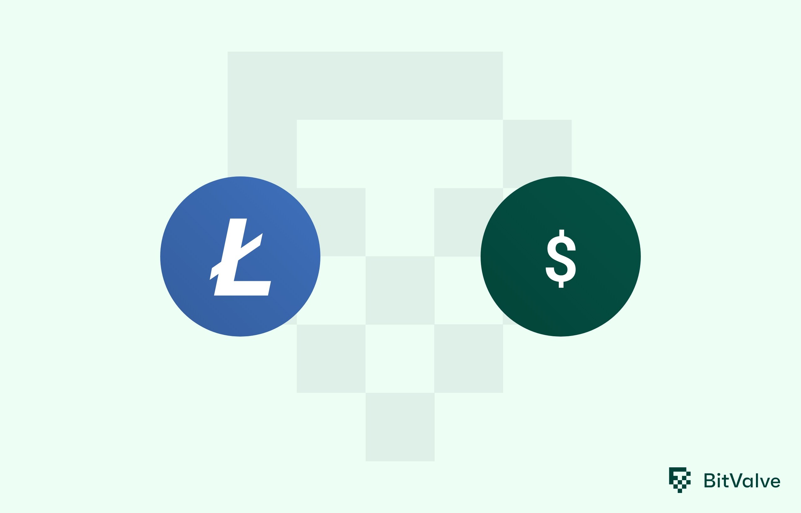 Convert 1 Litecoin to United States dollar | LTC to USD | BitValve