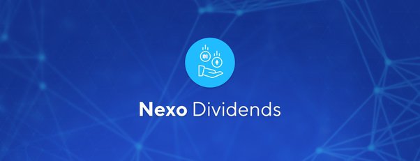 NEXO price live today (16 Mar ) - Why NEXO price is up by % today | ET Markets