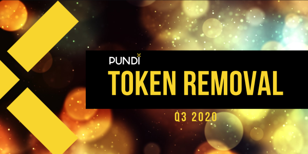 What is Pundi X (NPXS) Cryptocurrency About?