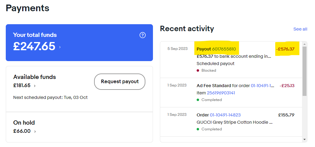 Issue with eBay placing a 21 day hold on my funds - The eBay Community