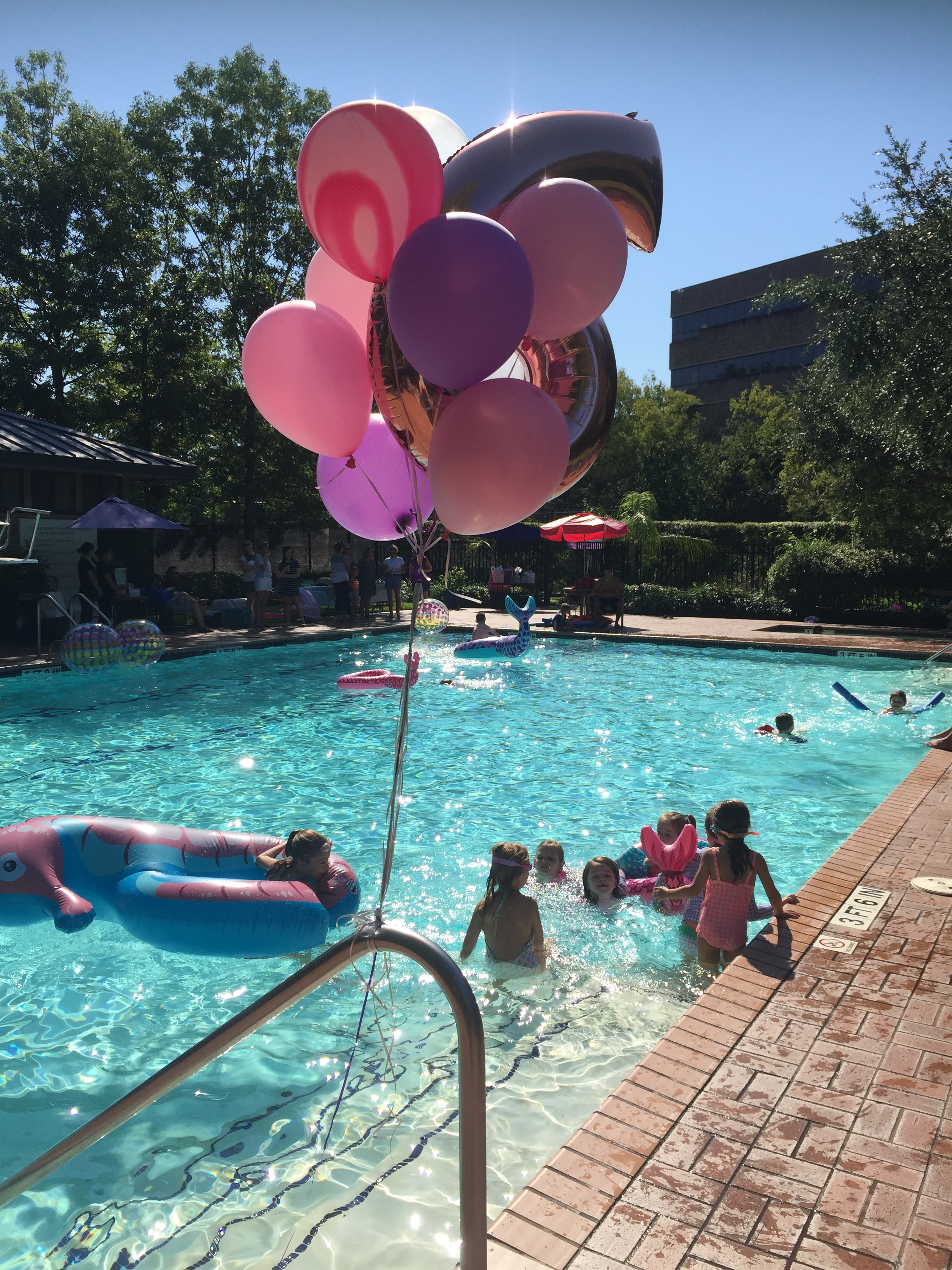 Rent a Pool for a Party or Event | Plunge San Diego