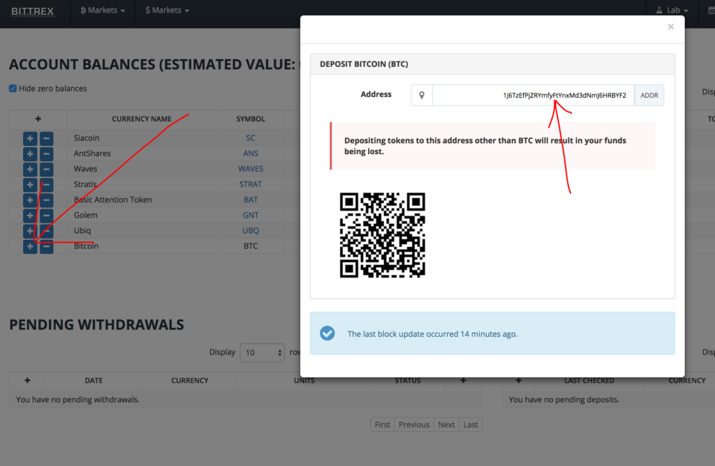 How to transfer Bitcoin Cash from Bittrex to Bitfinex? – CoinCheckup Crypto Guides