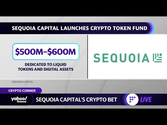 Sequoia Capital Slashes Crypto Fund From $M to $M : WSJ