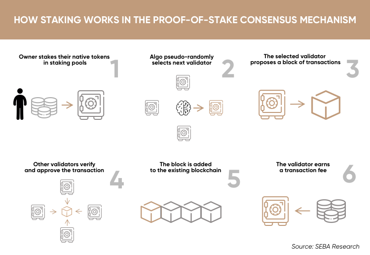 Tezos (XTZ) Staking Rewards Calculator: Earn ∼% | Staking Rewards