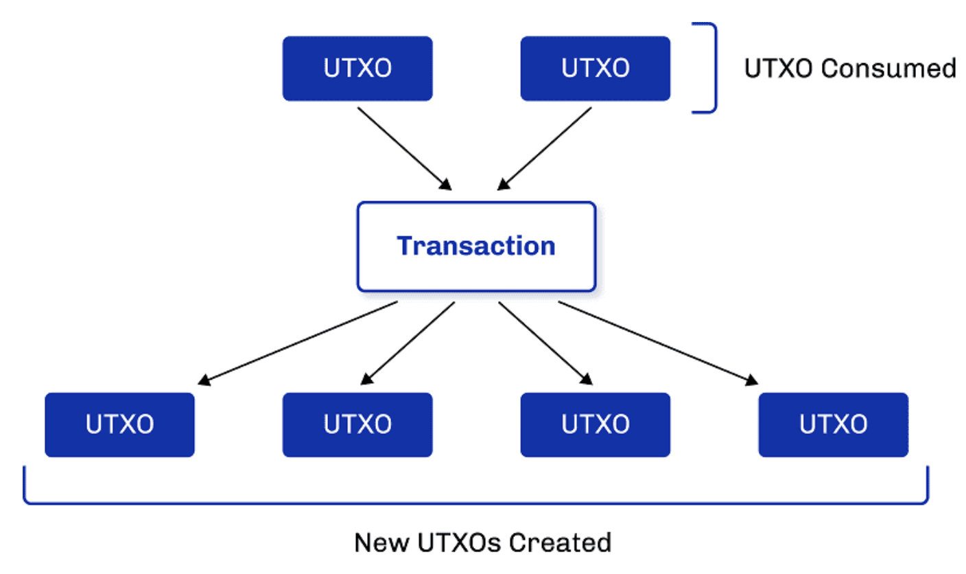 Decoding Bitcoin's UTXO: Understanding the Model and Optimizing Transactions with Vaultody