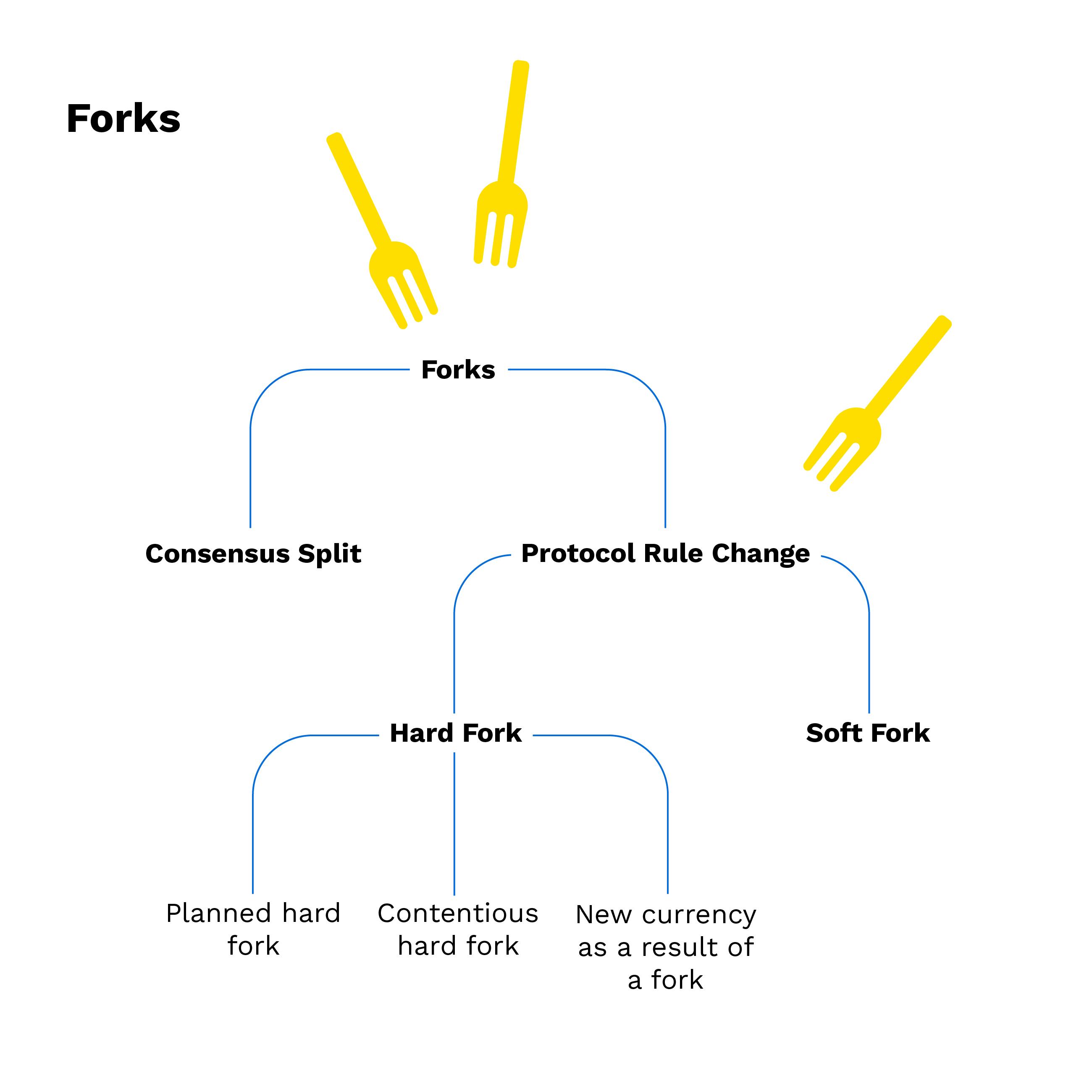 Hard Fork Meaning | Ledger